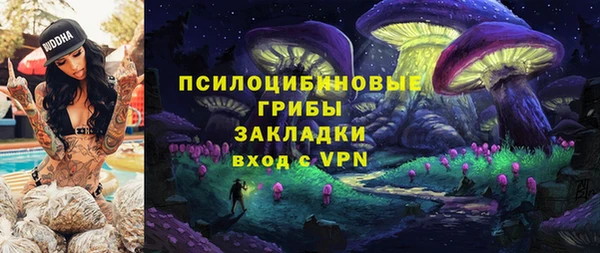 молекула духа Михайловка