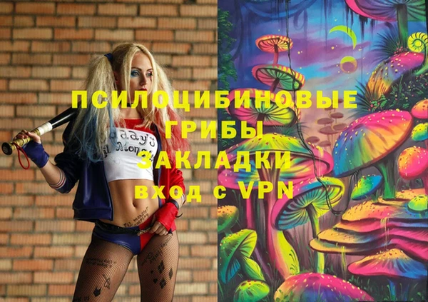 молекула духа Михайловка