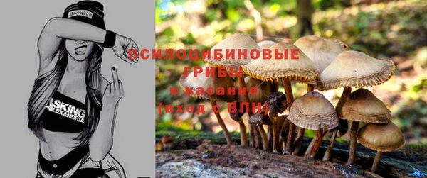 скорость Михайлов