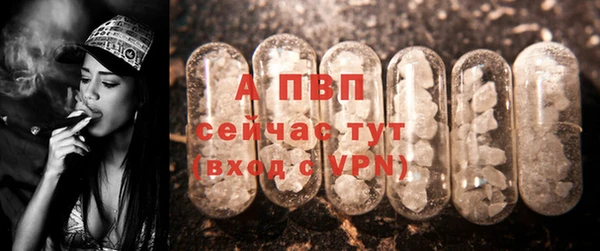 мяу мяу мука Михайловск