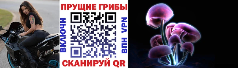 Галлюциногенные грибы Psilocybine cubensis  Красноярск 