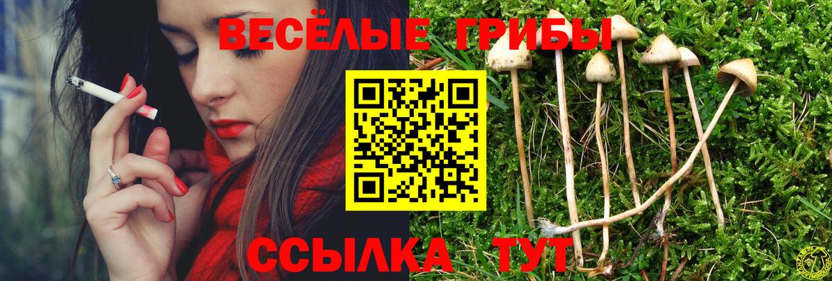Псилоцибиновые грибы Psilocybine cubensis  Вход с VPN  продажа наркотиков  Красноярск 