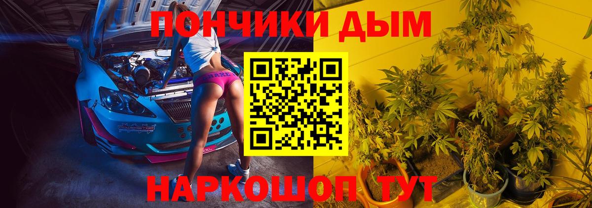 Бошки марихуана сатива  Вход с VPN  Конопля конопля  Марихуана AK-47  Красноярск 
